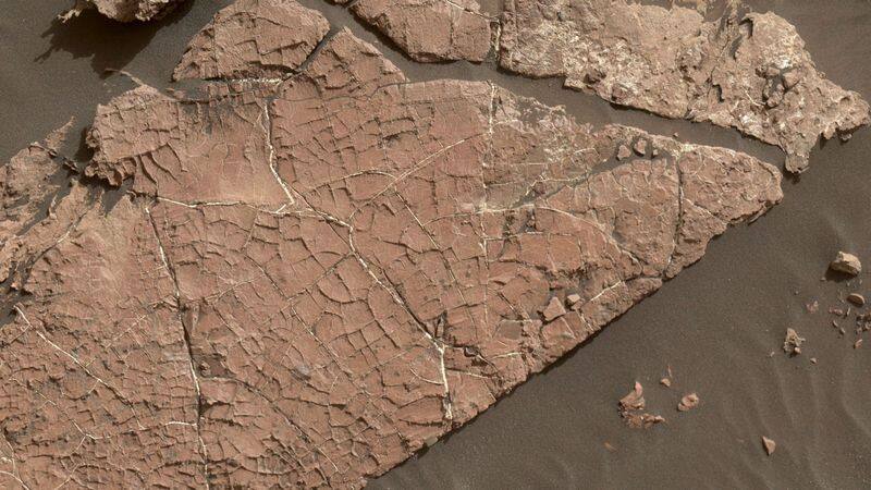 Nasa rover finds signs of water presence on Mars, here's what it means