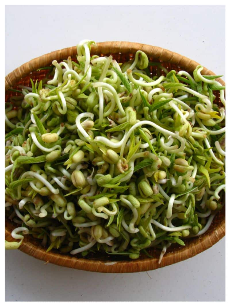 consuming-raw-sprouts-regularly-unhealthy-for-health-what-is-the-right-way-to-eat gnr