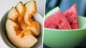 Hydration to Skin rejuvenation: 7 health benefits of eating melons THIS Summer ATG