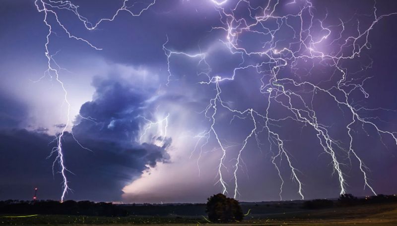 12 killed as 61,000 lightning strikes in 2 hours send shockwaves in Odisha sgb