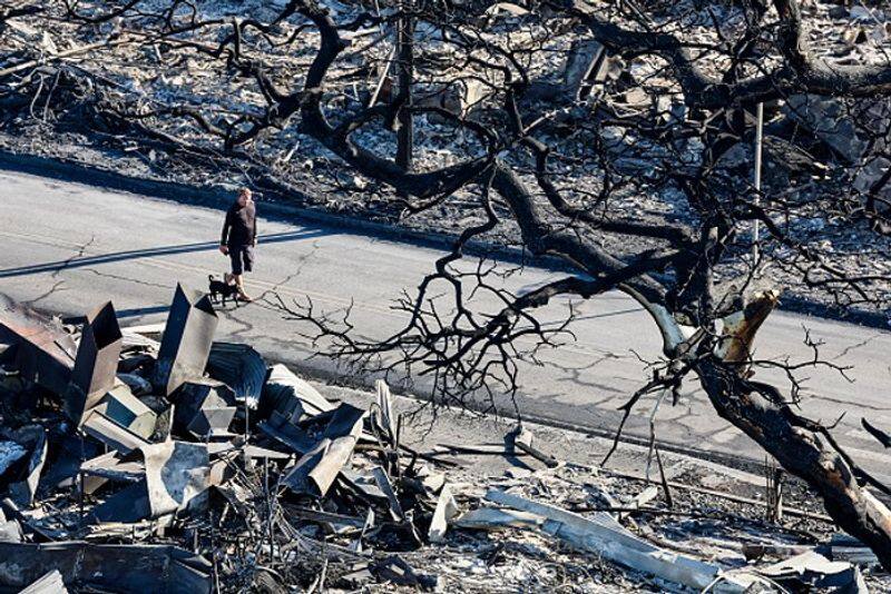 Deciphered Unraveling the origins behind Hawaii's devastating wildfires snt