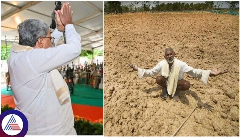 drought declaration Siddaramaiah drought declaration Siddaramaiah