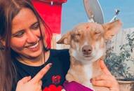 Charu Khare helps homeless animals find a forever loving home ish