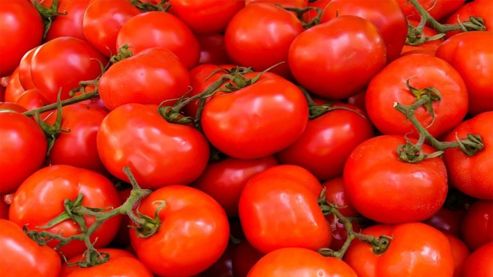 Government directed to sell Tomatoes at retail price of RS 50 per kg 15 august ckm