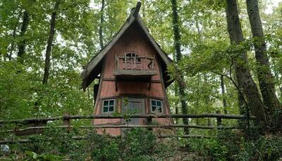 Discover enchanting treehouses of south India: Unique bond with nature's mystique