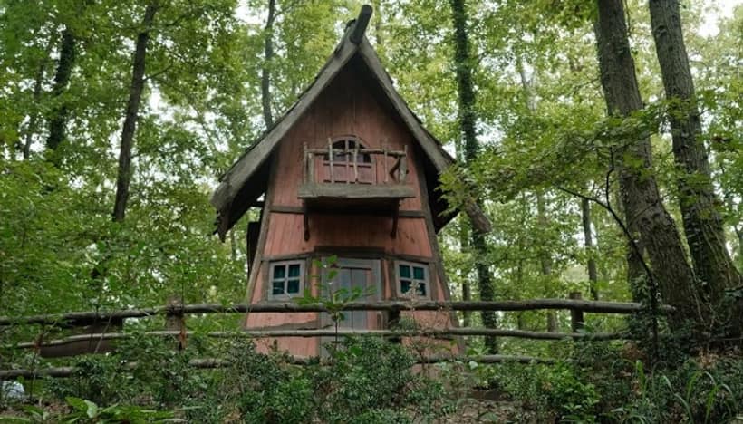 Discover enchanting treehouses of south India: Unique bond with nature's mystique
