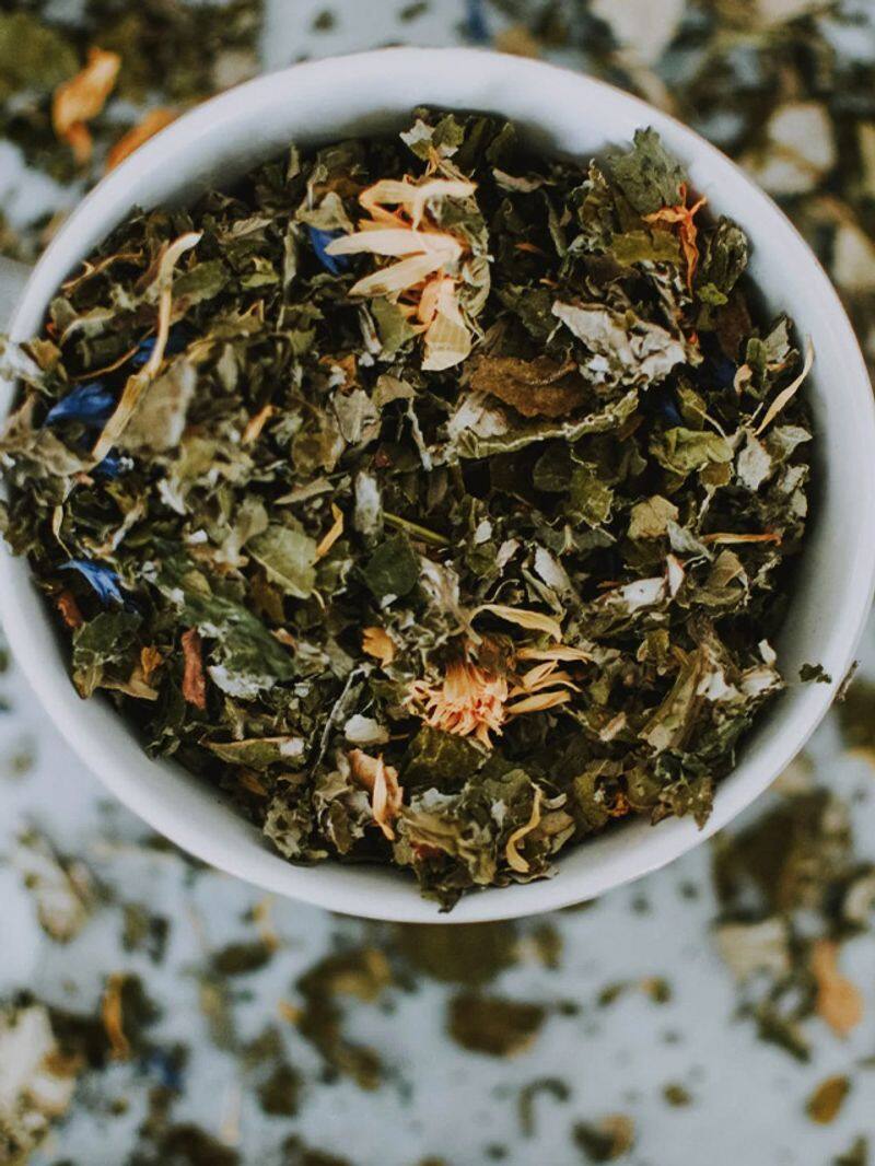 Green Tea Vs Herbal Tea: What's the Difference? Know their health benefits RBA EAI