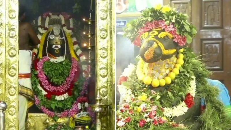 Special Abhishek Deeparathan at theni Meenakshi sundareswarar temple