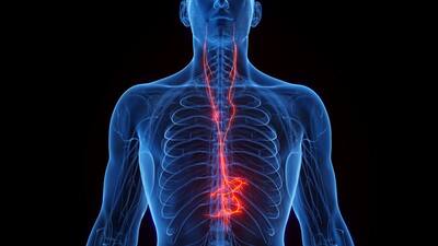 Everything to know about 'Vagus Nerve' and how it benefits you