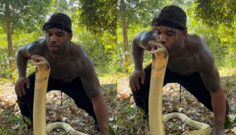 man kissing a cobra the video going viral hyp