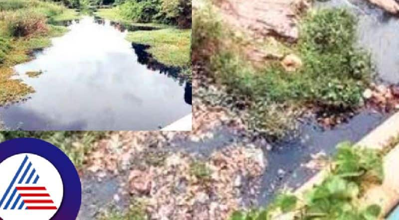 Sulekere pond sewage water is not good for drinking at davanagere rav