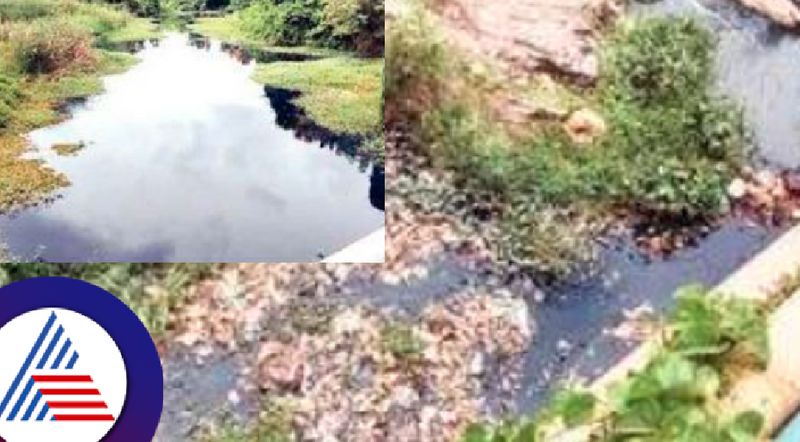 Sulekere pond sewage water is not good for drinking at davanagere rav