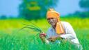 Budget 2025 : కొత్త వ్యవసాయ పథకం ,  తెలుగు రైతులకు బంపరాఫర్, ఫుల్ డిటైల్స్ 
