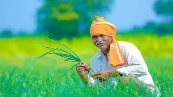 Budget 2025 : కొత్త వ్యవసాయ పథకం ,  తెలుగు రైతులకు బంపరాఫర్, ఫుల్ డిటైల్స్ 
