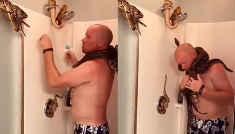 man taking shower with snakes going viral hyp