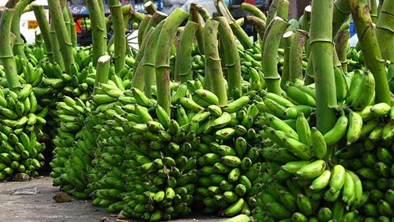 health benefits of eating raw banana in tamil mks