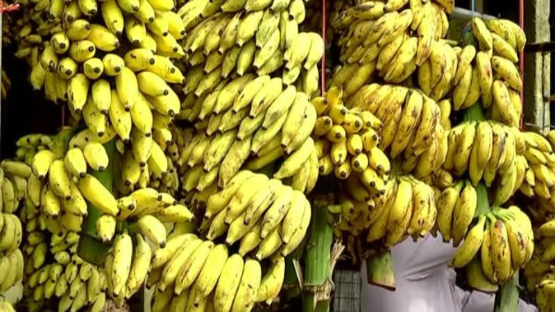 Bengaluru Banana price doubles suddenly Cardamom Banana Rs 100 rate in Shravana month sat