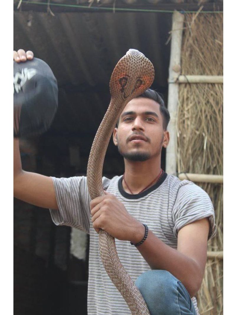बक्सर के हरि ओम नारायण स्नेक मैन ऑफ बिहार कहे जाते हैं