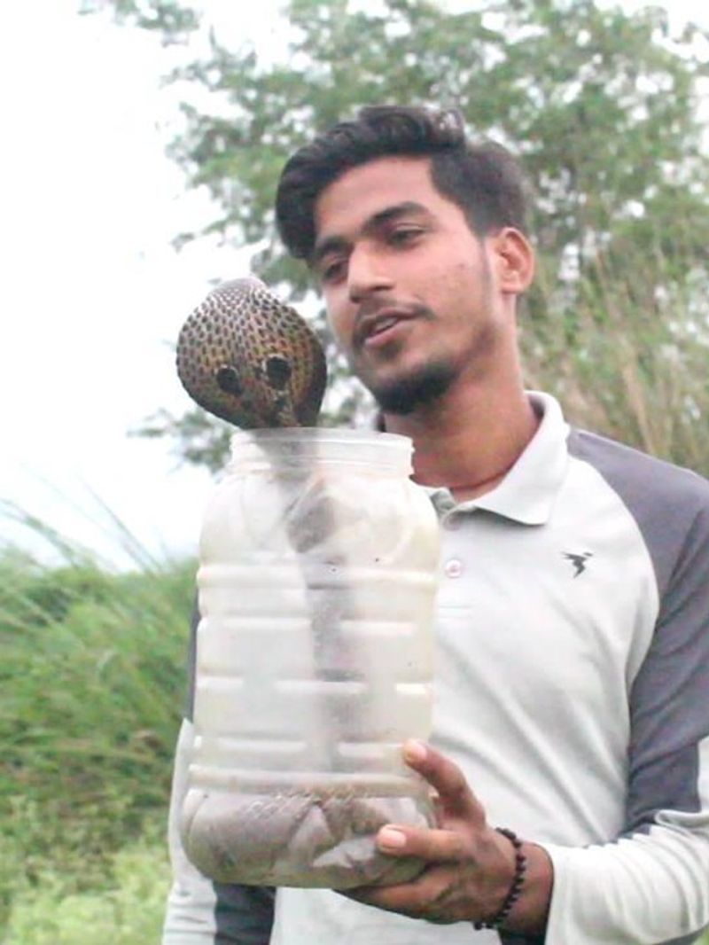 अब तक उन्हें 200 बार सांप ने डसा जिसमें 3 बार कोबरा ने डसा।