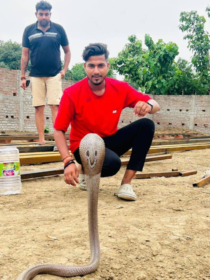 hariom narayan snake man of bihar rescued 4000 snakes ZKAMN