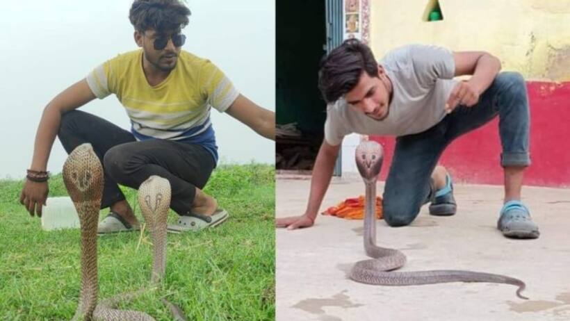 उम्र 19 साल, 200 सांप ने डसा कोबरा ने काटा तो 3 महीना रहे बिस्तर पर, फिर भी 4000 सांपों को किया रेस्क्यू