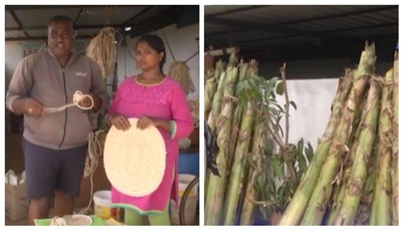 many items prepared by women through Banana Stem nbn