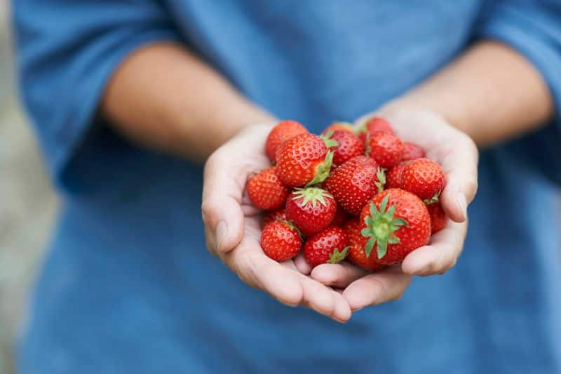 amazing benefits of strawberries-rse- 