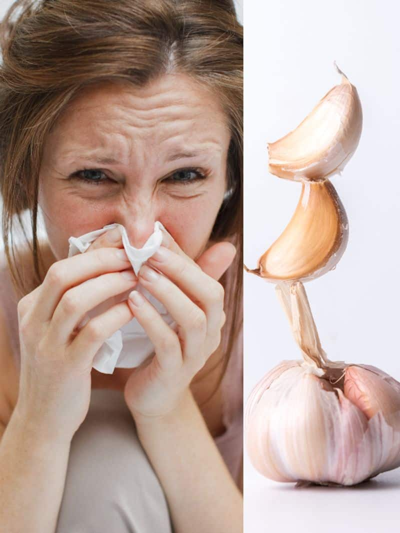 8 health benefits of garlic azn 