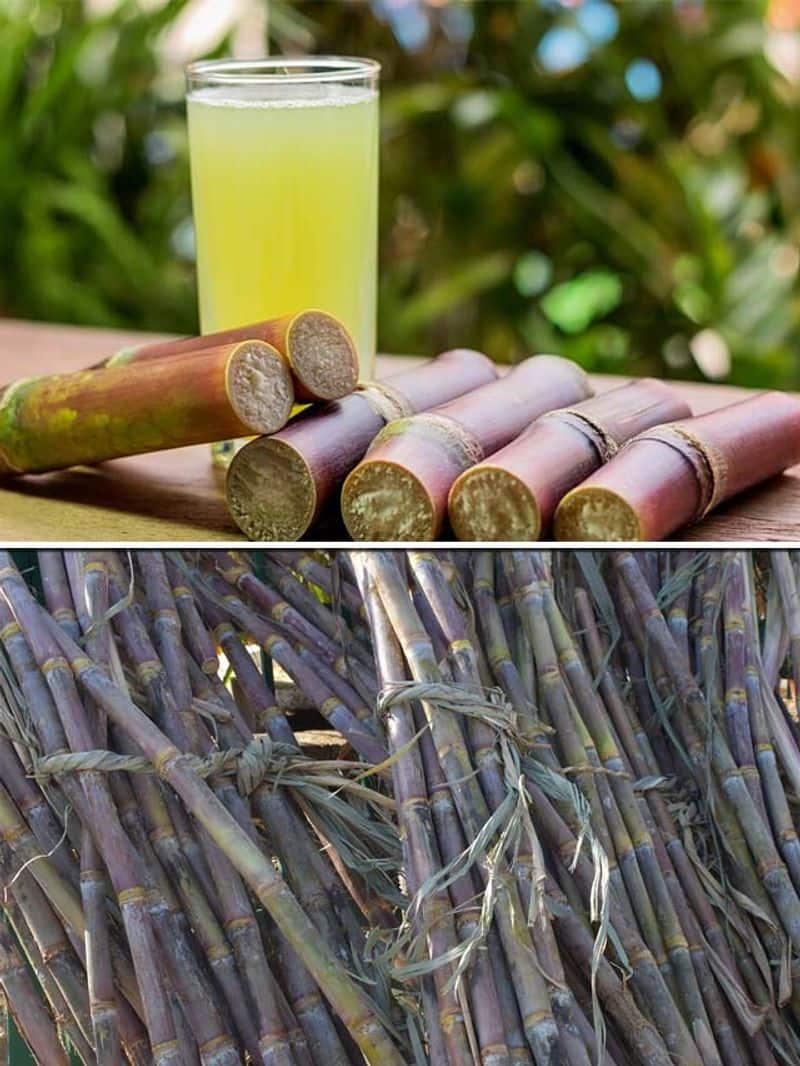 Sugarcane Juice will Harm For Those who have health Problems ram