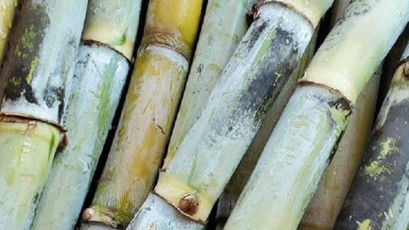 गन्ने से 15 तरह के प्रोडक्ट बनाकर मालामाल हो गए मुरादाबाद के किसान अरेन्द्र, कमाई लाखों में...