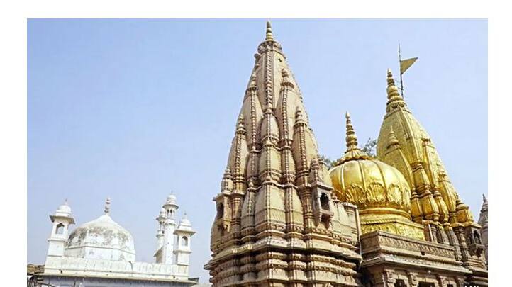 gyanvapi survey