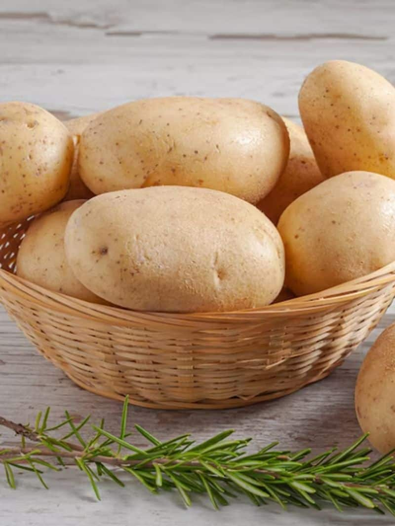 national potato day 2023 know the health benefits of eating potato -rse- 