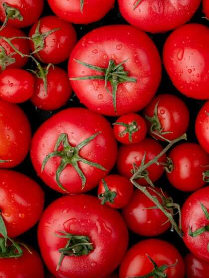 Tomatoes