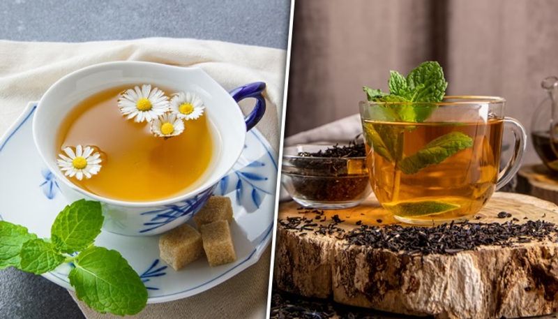 Green Tea Vs Herbal Tea: What's the Difference? Know their health benefits RBA EAI