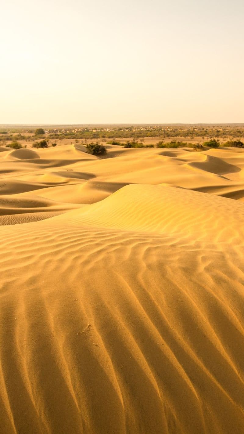 reports claim thar desert of rajsthan will convert into green land in end of century kxa 