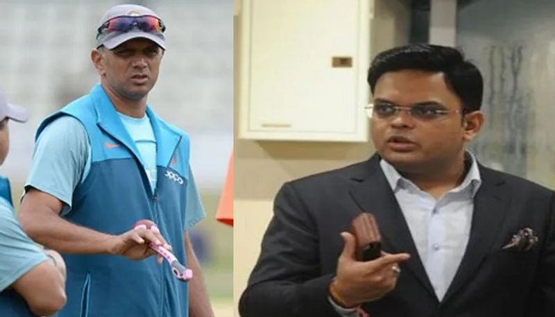 BCCI Secretary Jay Shah Big Update On Indian Cricket Team Coach Rahul Dravid kvn