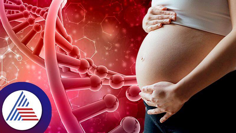 These are the main hormones of reproductive pav 