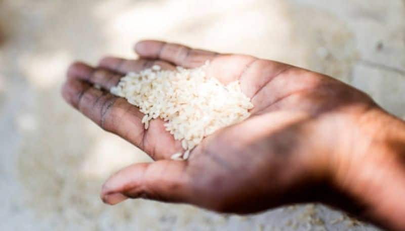 Bharat rice coming soon, to retail at discounted rate of Rs 25/kg: Report sgb