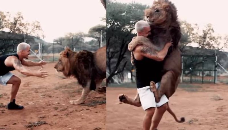 lion hugs a man viral video rlp