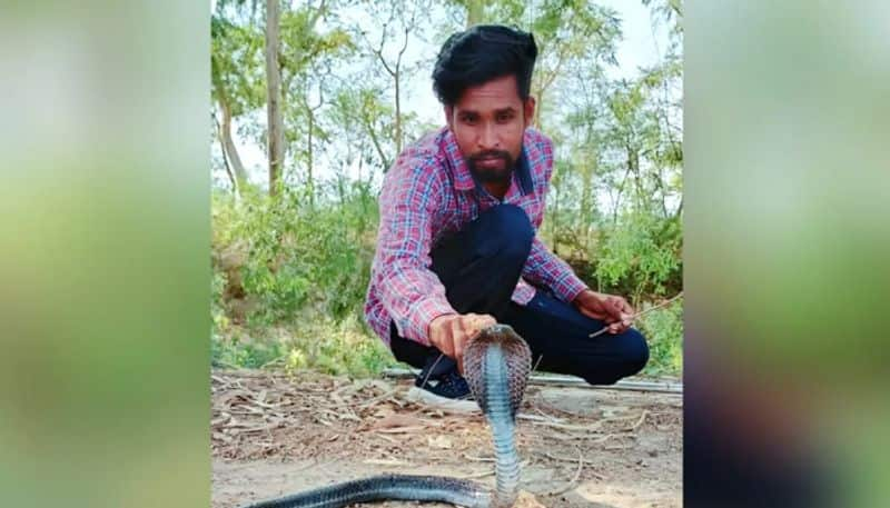 28 year old man who rescued 5600 snakes in a decade hyp