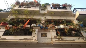 lucknow man grew two and half quintal tomatoes in his balcony ZKAMN