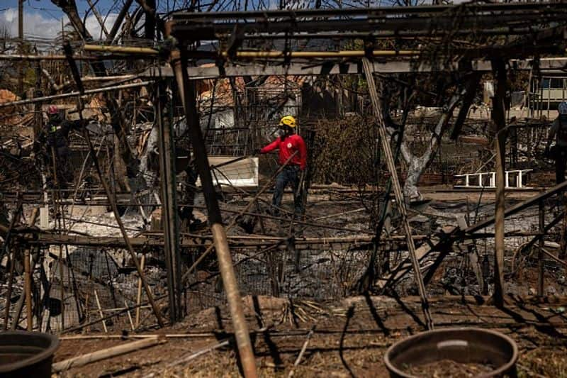 wildfire in Hawaii who is responsible rlp