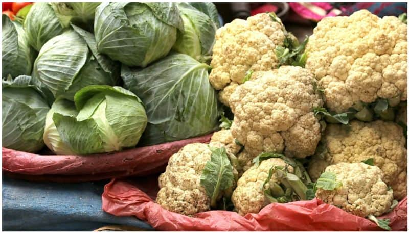 Cauliflower vs cabbage Which is better azn