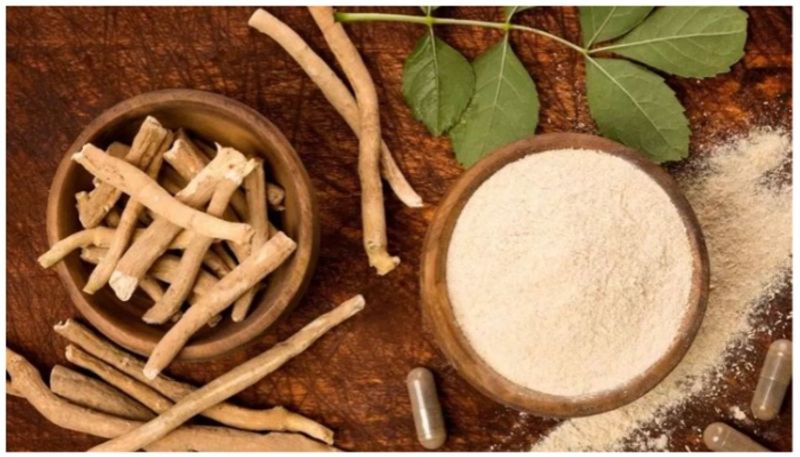 amazing health benefits of amukkara choornam or ashwagandha in tamil