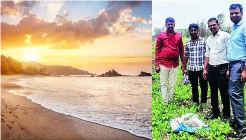 250kg hashish washes up on 7 Ratnagiri beaches in 4 days prm 