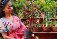 reshma ranjan left job for gardening passion now earning more than one lacs in a month ZKAMN