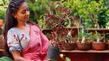 reshma ranjan left job for gardening passion now earning more than one lacs in a month ZKAMN