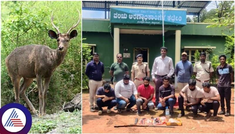 Chikkamagaluru NGO members came to forest protection and hunted deer and ate its meat sat