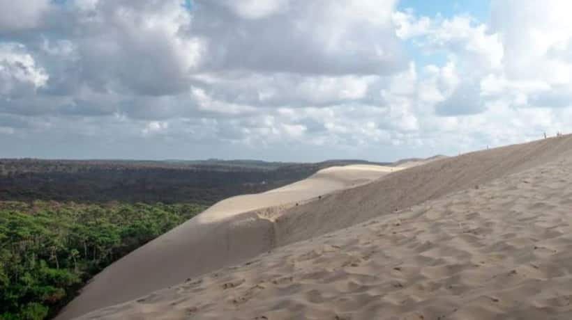 Saudi Arabia is now harnessing AI to combat desertification
