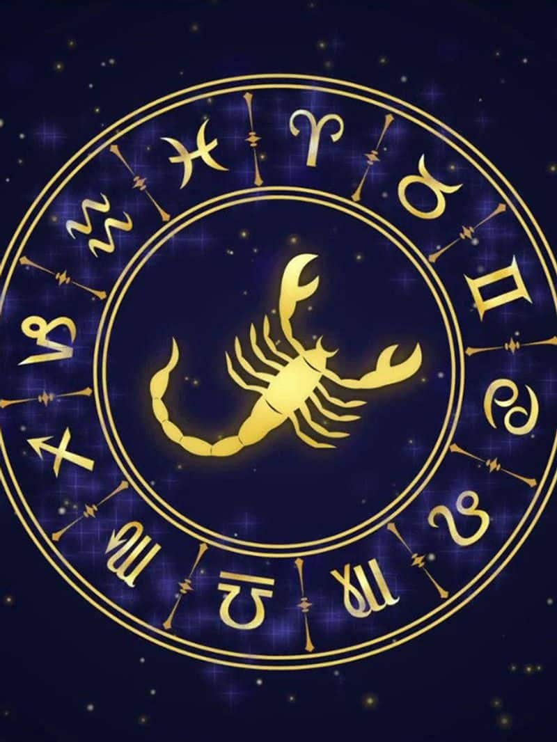 shukra planet go char 2024 horoscope Venus transit in Swati impact on zodiac signs suh